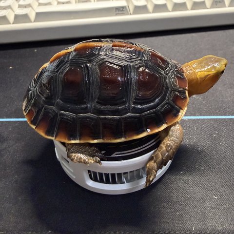 侧视