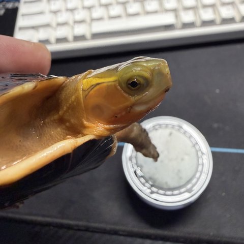 脸色