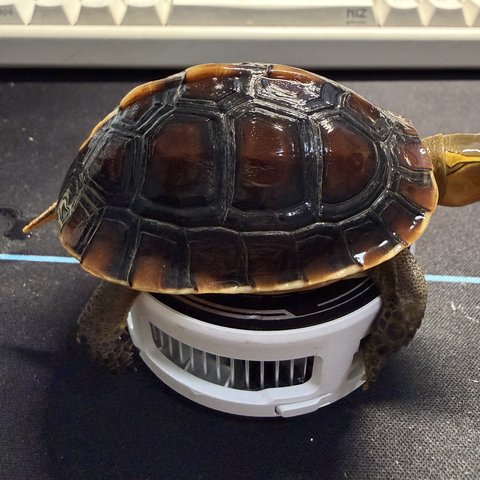 侧视
